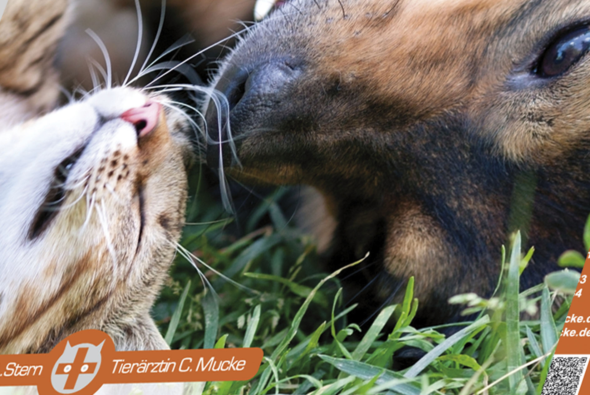 Präsentationsmappen - Bild